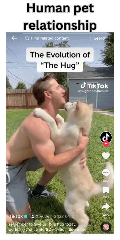 TikTok Lite APK profile screen