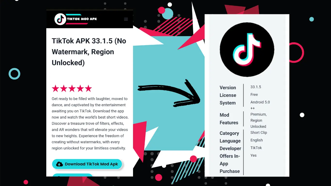 TikTok APK app information and download interface
